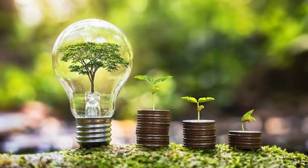 وزارة البيئة تعلن عن إطلاق خط تمويل لمشاريع الاقتصاد الأخضر والأزرق والدائري