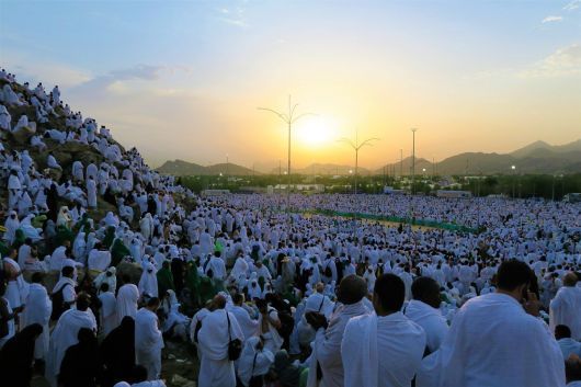 وضعية صحية مستقرة لحجيجنا الميامين وتواصل الاستعدادات اللوجستية والتنظيمية ليوم عرفة.