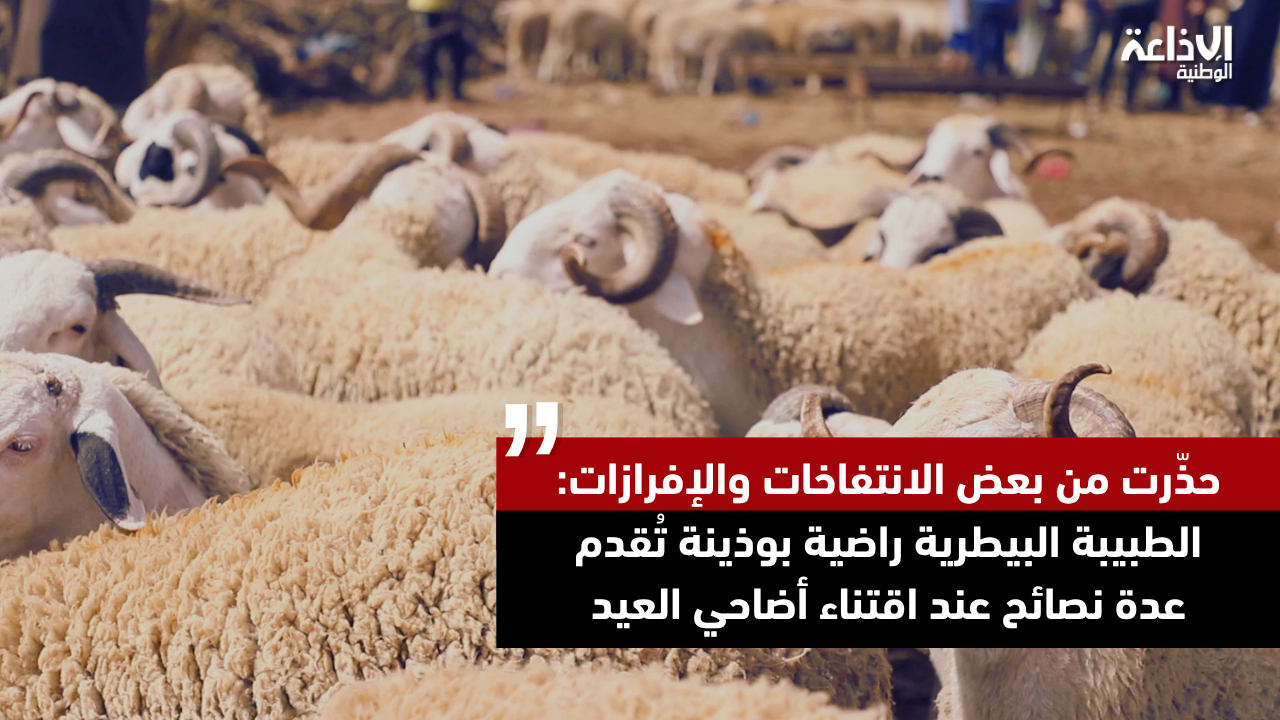 حذّرت من بعض الانتفاخات والإفرازات: الطبيبة البيطرية  راضية بوذينة تُقدم عدة نصائح عند اقتناء أضاحي العيد