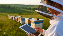 Innovation et apiculture : un complexe dédié au miel voit le jour à Jendouba