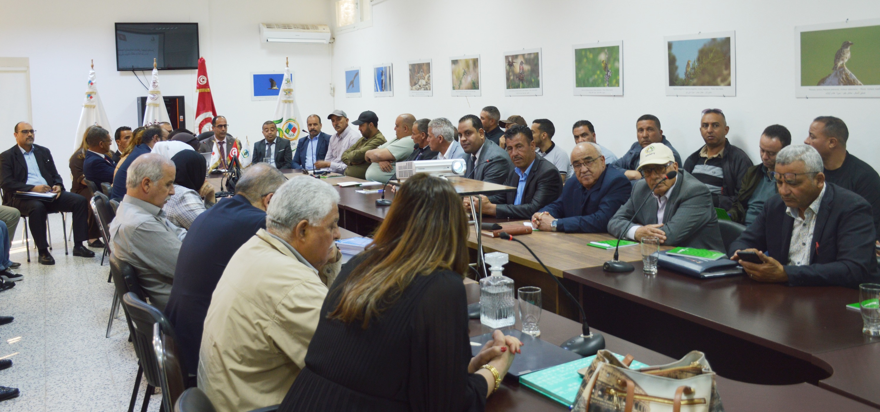 الكاف  : ورشة جهوية لتقديم نتائج دراسة الجدوى لمشروع التنمية المندمجة والمستدامة بالمناطق الجبلية بالشمال الغربي بولاية الكاف