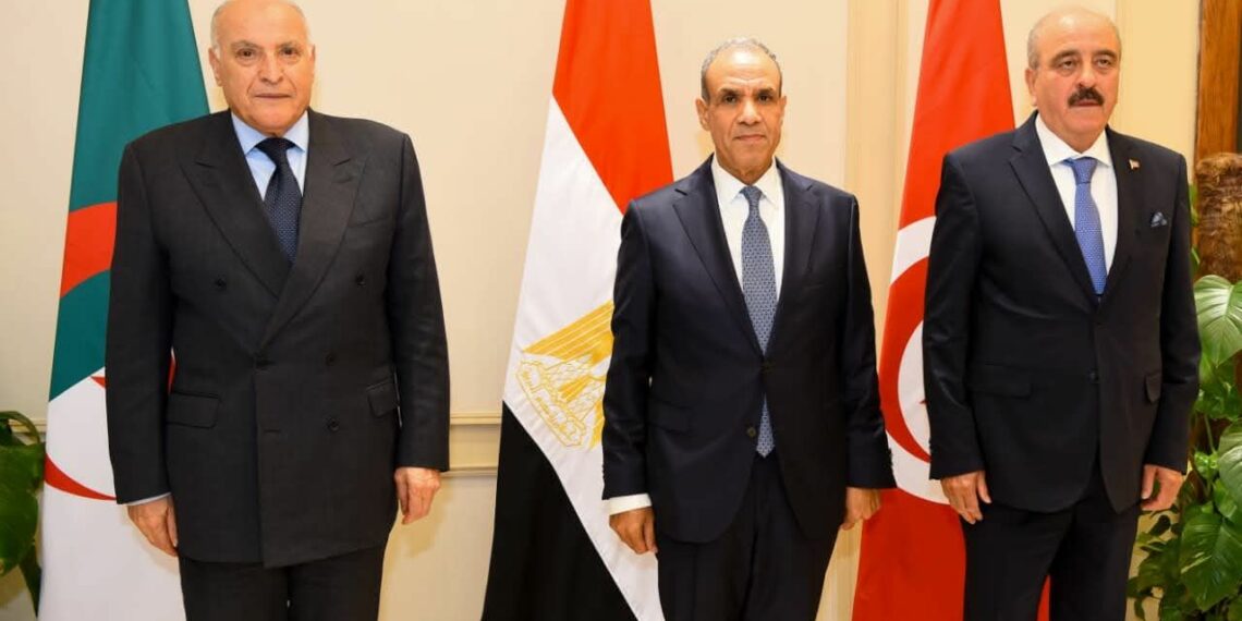 Mohamed Ali Nafti participe au Caire à la réunion tripartite sur la Libye