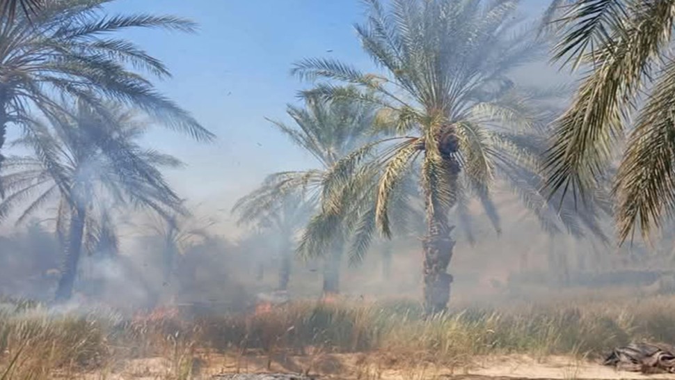 توزر: تسجيل حرائق في واحة توزر القديمة ودعوات إلى تنظيفها