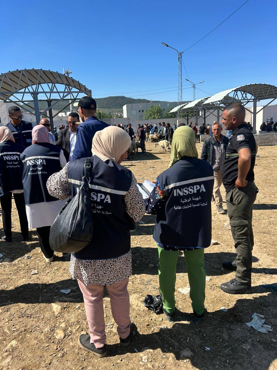  حملة مراقبة  اقتصادية وصحية  بسوق الدواب بنبر  للتثبت  من السلامة الصحية للأضاحي  والتصدي للمضاربة 