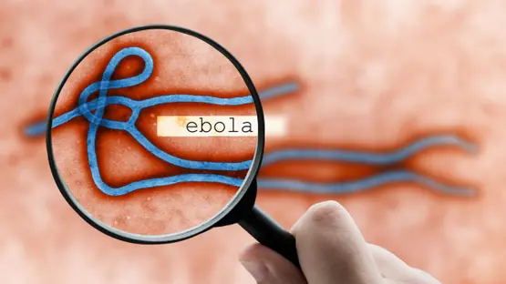 الصحة العالمية: إيبولا يتفشى في الكونغو وأوغندا بسرعة تفوق جهود الاستجابة
