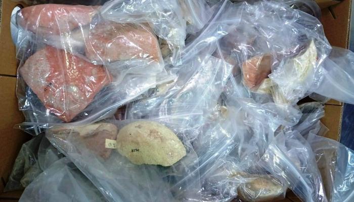 استرجاع 210 قطع أثرية تونسية من كندا