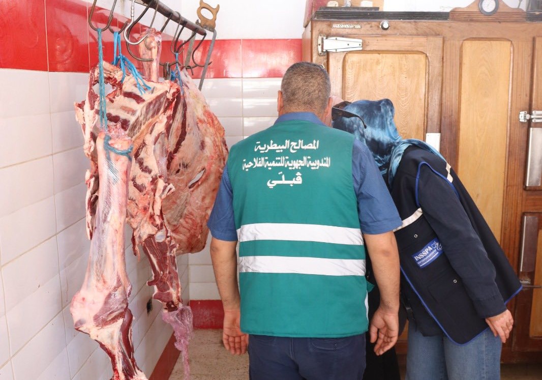 قبلي: تواصل اعمال المراقبة للاسواق الاسبوعية والمحلات المفتوحة للعموم ونقاط بيع الاضاحي
