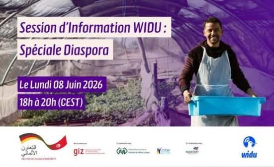 سفارة تونس بألمانيا تُنظّم اجتماعا اخباريا عن بُعد حول برنامج "WIDU Africa"