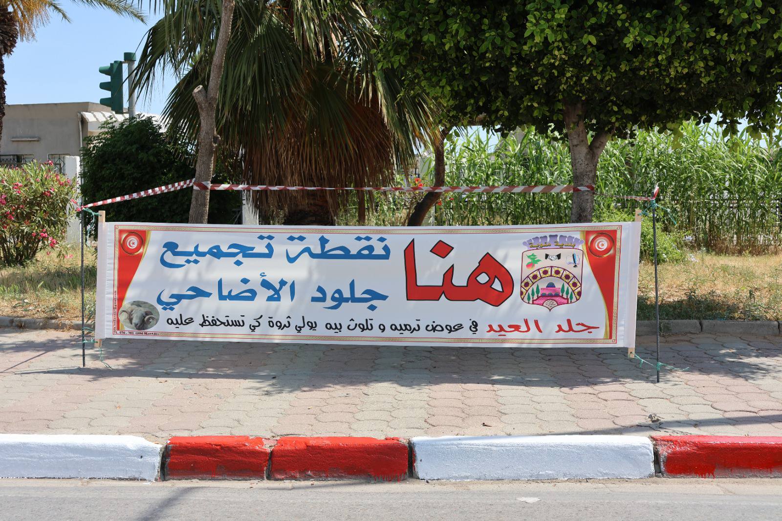بلدية منوبة: تركيز 3 حاويات كبيرة الحجم و13 نقطة خاصة بجلود أضاحي العيد