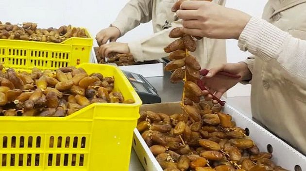 زيادة ب 5،6 بالمائة في كمية التمور المصدرة خلال الاشهر السبعة الاولى من من موسم 2026/2025