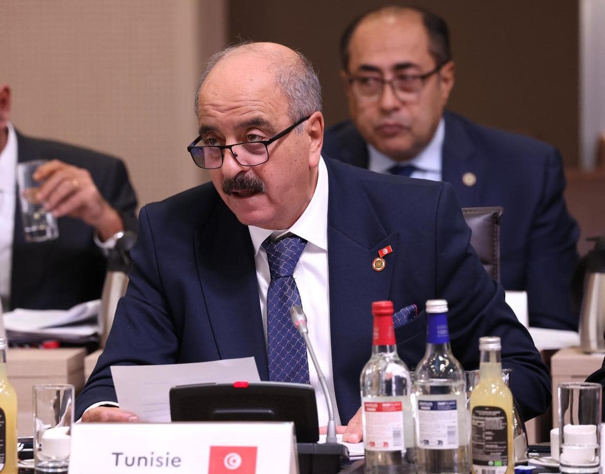 وزير الحارجية: "الاستثمارات في إفريقيا فُرصة لتنويع وتوسيع سلاسل التوريد".