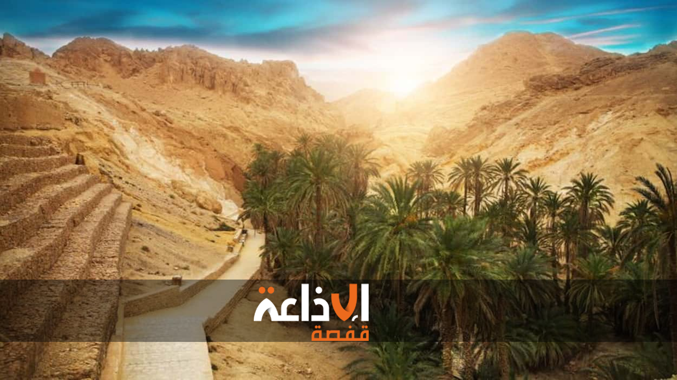 توزر : ورشة عمل جهوية لتقديم مكونات مشروع تعزيز القدرات على التكيف مع التغيرات المناخية وتحسين ظروف العيش في الواحات التقليدية الهشة