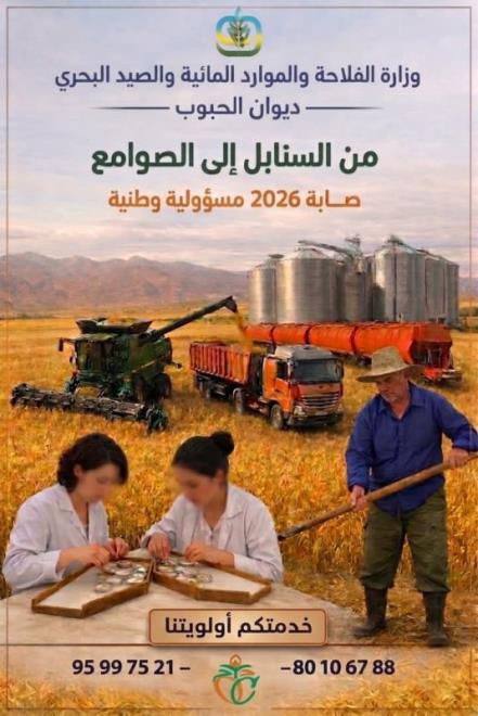 إنطلاق موسم الحصاد وتجميع الحبوب لصابة 2026: ديوان الحبوب يدعو الفلاحين إلى إحترام شروط الجودة وإجراءات الوقاية من الحرائق