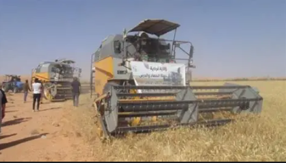 Récolte céréalière : les agriculteurs de Gafsa à pied d’œuvre