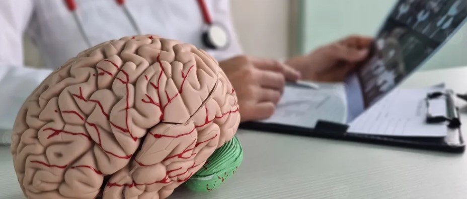 م ع الصحة: انطلاق العمل خلال أيام بمنصة نجدة للجلطة الدماغية