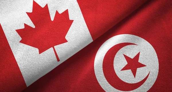 الدورة الأولى من منتدى تعبئة الكفاءات التونسية في كندا تؤكد على ضرورة تعزيز الشراكات الجامعية والتعاون العلمي بين البلدين