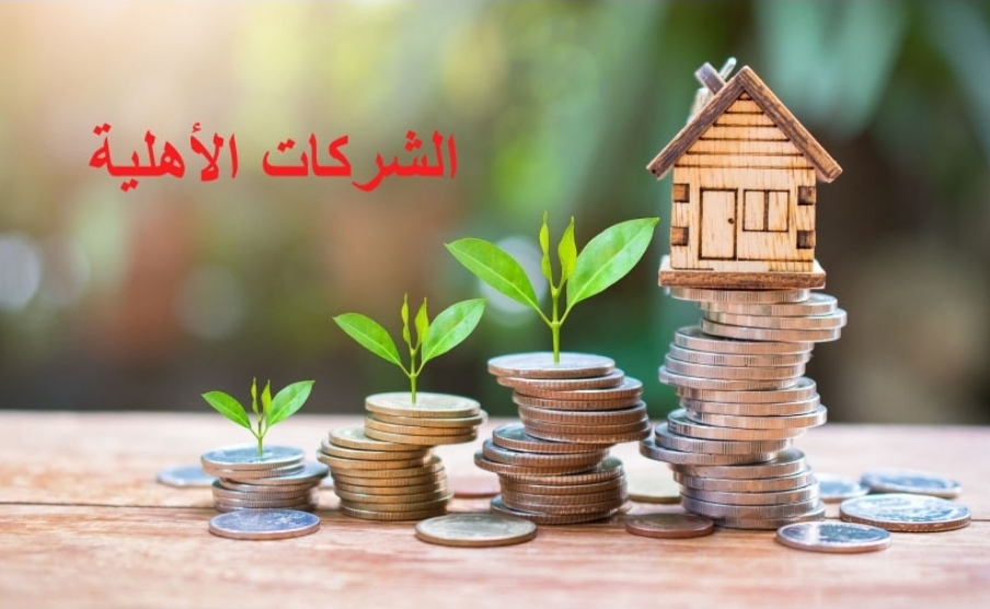 شركات اهلية