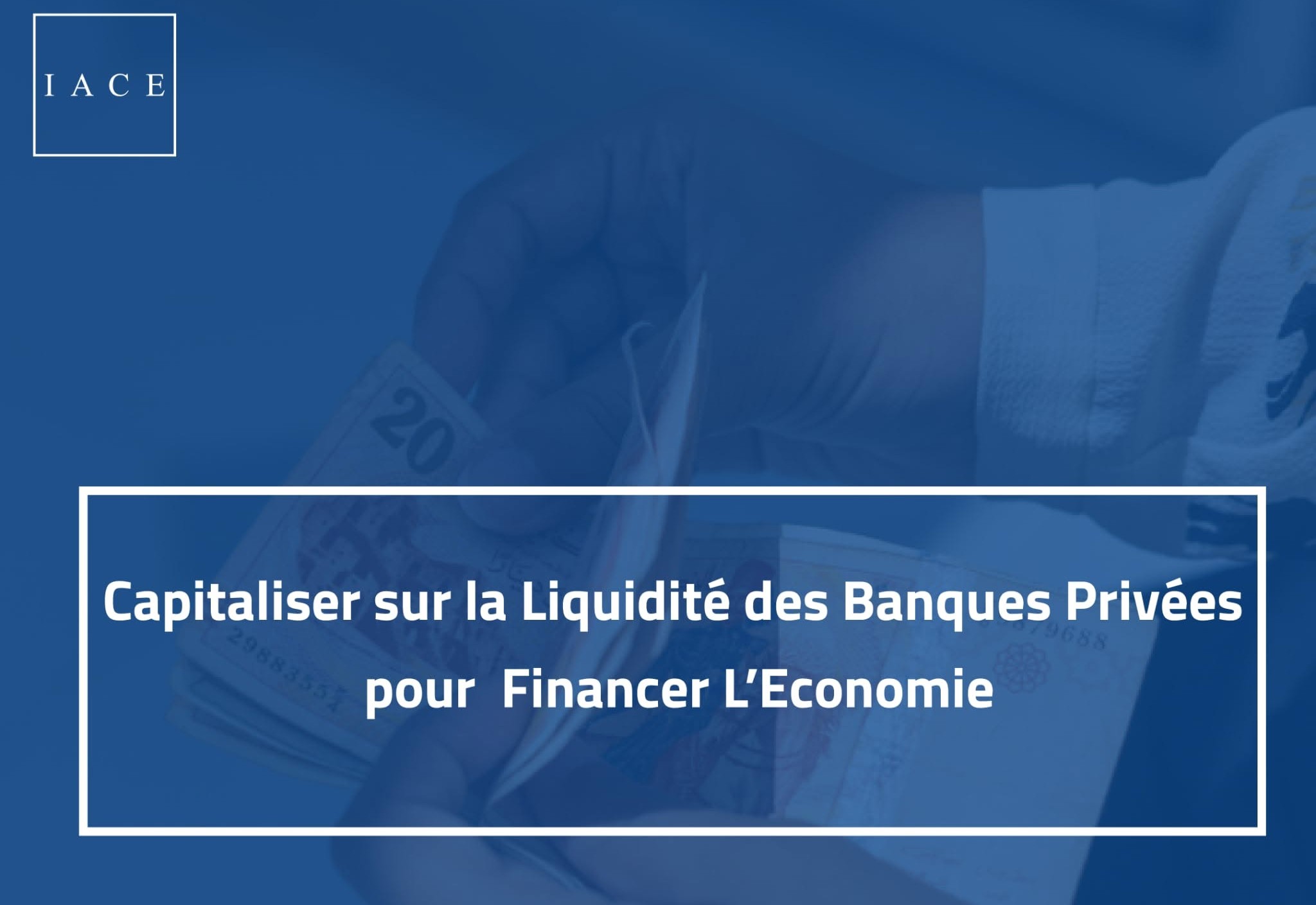 تقرير للمعهد العربي لرؤساء المؤسسات يدعو البنوك الخاصة لتحويل فائض السيولة لديها إلى رافعة لتمويل الاقتصاد
