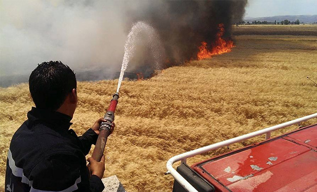 Nord Ouest: La campagne de moisson frappée par des incendies à Siliana et Jendouba