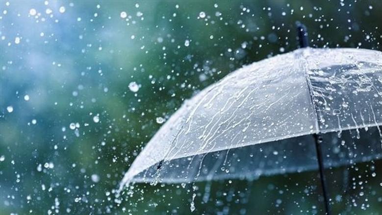 بلغت 91 مليميترا: معتمدية الكريب بسليانة تسجل أعلى كميات الأمطار