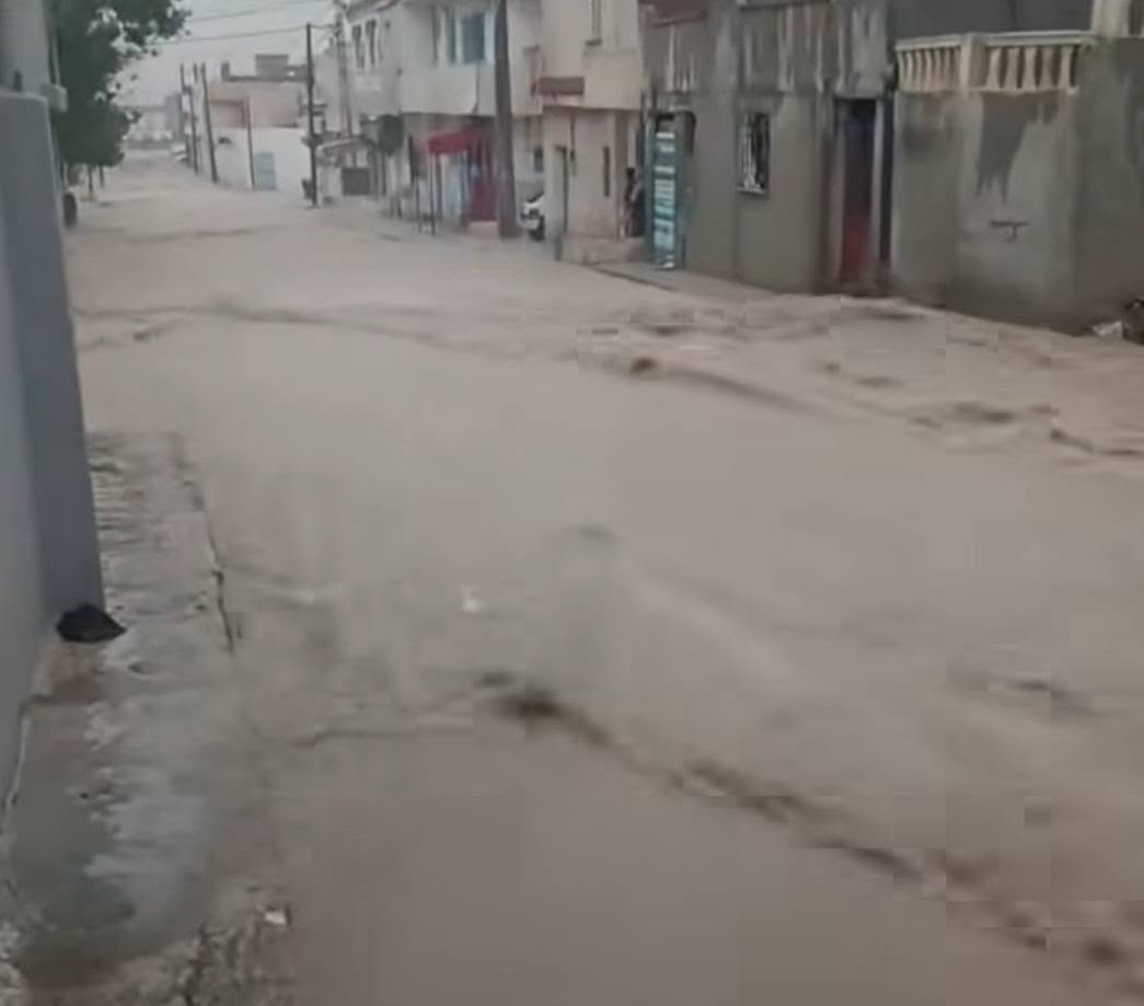 تسجيل اضرار بمزارع الحبوب في عدد من معتمديات ولاية الكاف على اثر التقلبات المناخية