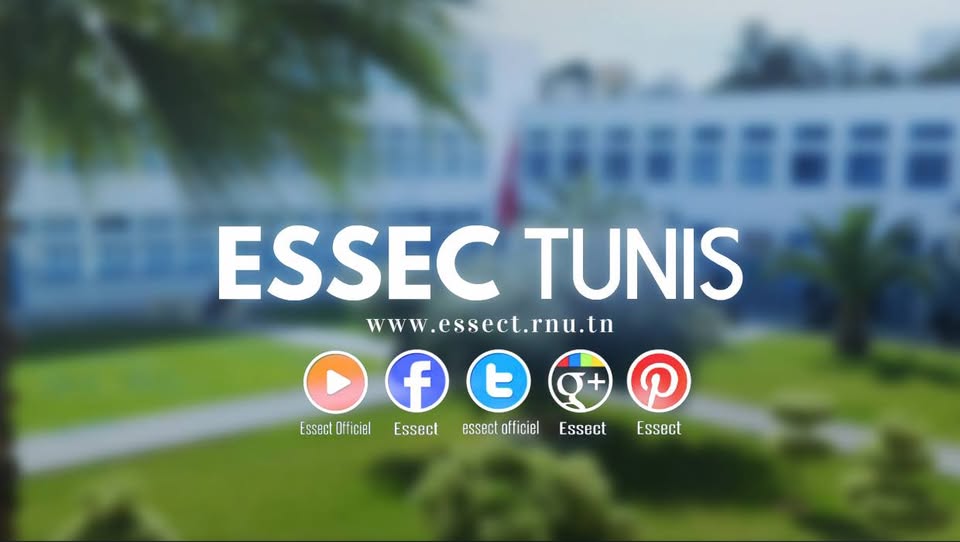 فتح باب الترشح للماجستير المهني في الإدارة الريادية والتسويق للصناعات الثقافية والإبداعية