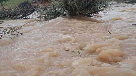 سليانة: الأمطار تتسبب في أضرار بعدد من المنشآت والطرقات في الكريب