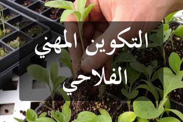 الكاف: حملة تحسيسية للتعريف باختصاصات التكوين والأنشطة الموجود بمركز التكوين المهني الفلاحي للتلاميذ مستوى ثانية ثانوي منهاة