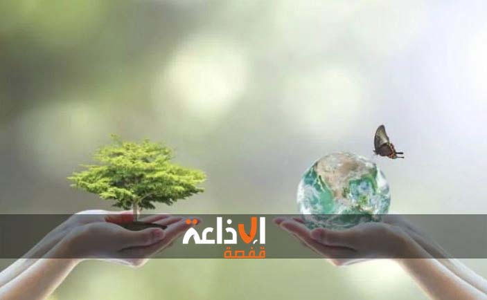 قفصة :ورشة عمل تشاركية تبحث في السبل الكفيلة بدعم التنوع البيولوجي بولايات الجنوب الغربي و تطاوين