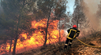 Sfax renforce son dispositif de prévention contre les incendies estivaux