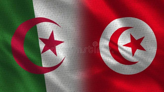 فريق بحثي تونسي جزائري يكشف معطيات جديدة حول التاريخ الجيولوجي لمنطقة سوق أهراس شرقي الجزائر