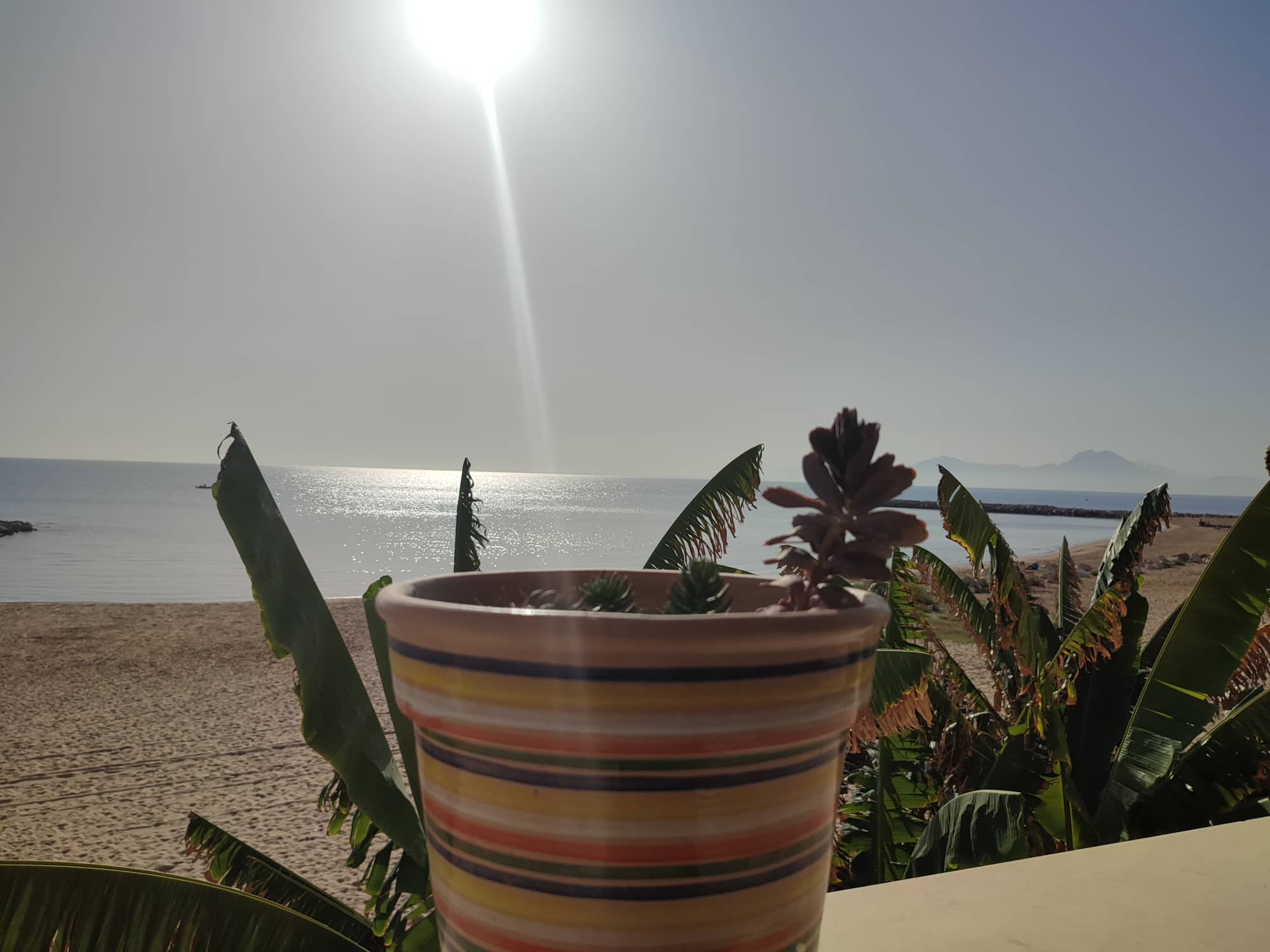 Chaleur et sirocco au programme de ce samedi en Tunisie