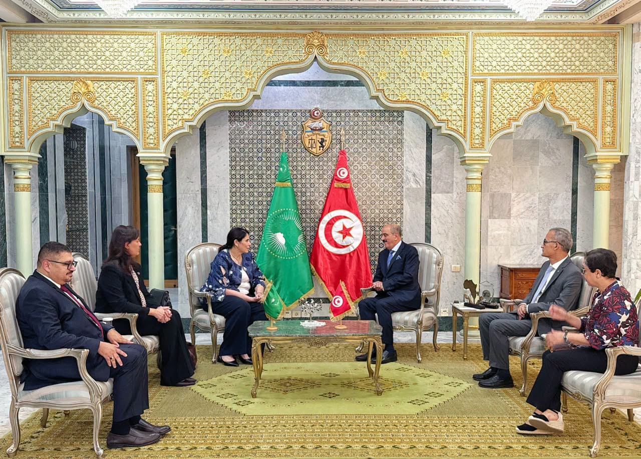 وزير الخارجية يلتقي نائبة رئيس مفوضية الاتحاد الإفريقي