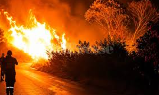Aïn Draham : l’incendie de la forêt de Bebouch maîtrisé