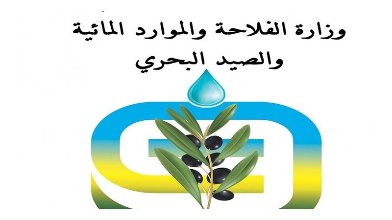 حماية للفلاحة الوطنية: وزارة الفلاحة تحذر الجالية التونسية بالخارج وضيوف البلاد من جلب النباتات والمنتجات النباتية