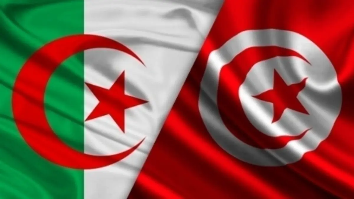 أكثر من 55% صناعات ميكانيكية وكهربائية: صادرات تونس نحو الجزائر تُناهز 1.8 مليار دينار سنة 2025