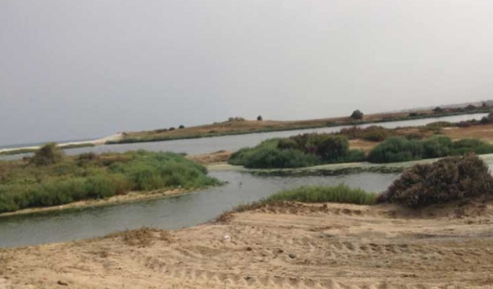 نابل: متساكنو منطقة قصر سعد بقربة يطالبون بحلّ إشكال تراكم مياه الصرف الصحي بوادي سيدي عثمان  