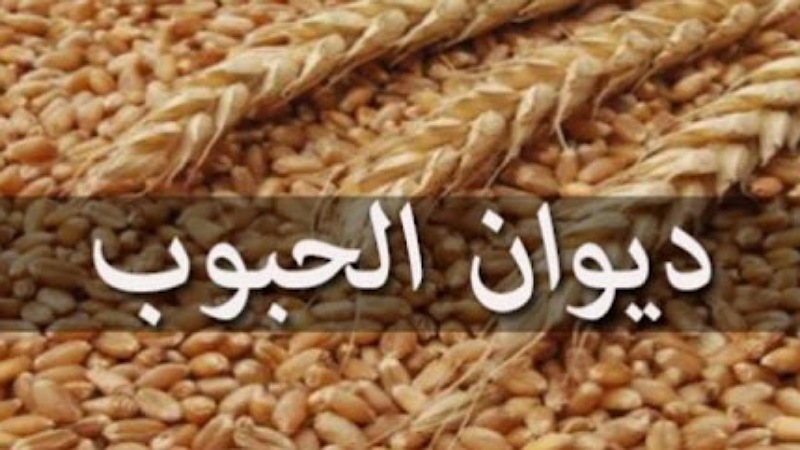 تجميع 6،629 مليون قنطار من الحبوب الى غاية 26 جوان الجاري.