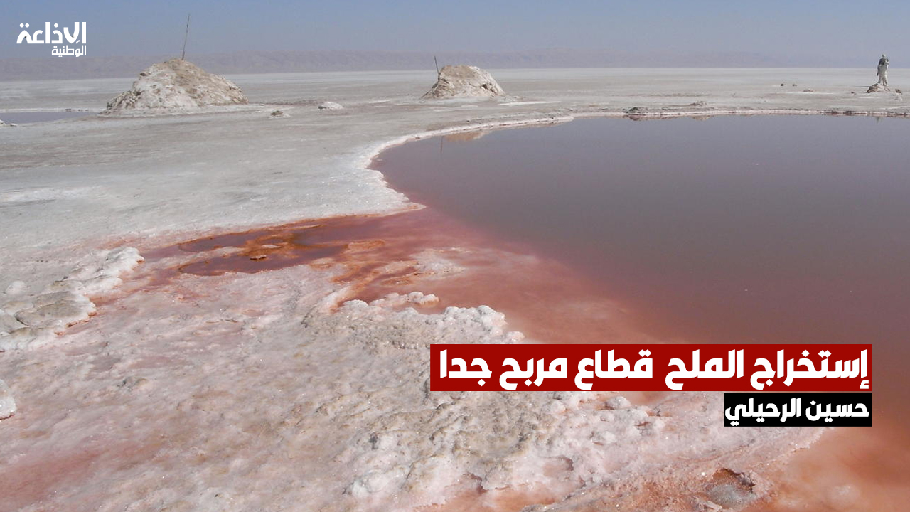 حسين الرحيلي: إستخراج الملح  قطاع مربح جدا.. ويجب إعادة النظر في التراخيص والجباية
