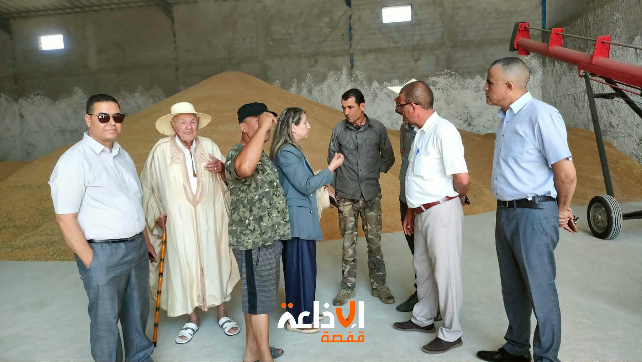 ر.م.ع ديوان الحبوب تؤكد انسيابية موسم تجميع الحبوب بالقصرين