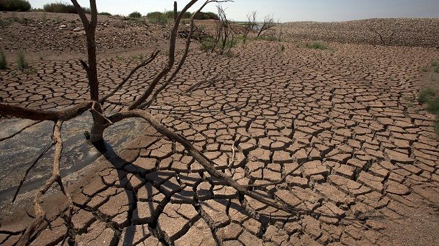 صندوق الجوائح: مداخيل أقل من التعويضات ووزارة المالية تدعو إلى التريث في إلزامية الانخراط