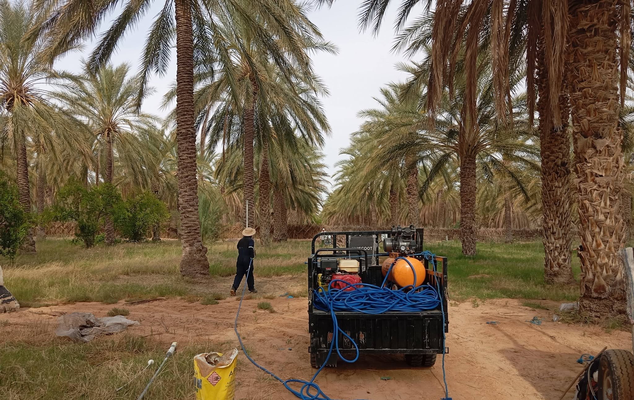 قبلي: دعوة إلى التسريع في مداواة عنكبوت الغبار لحماية واحات الجهة