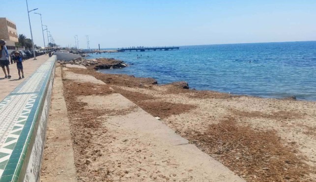 مسؤولة بوزارة السياحة: ’’الوزارة تدعم البرنامج الوطني لتنظيف الشواطئ بنسبة 60 بالمائة’’