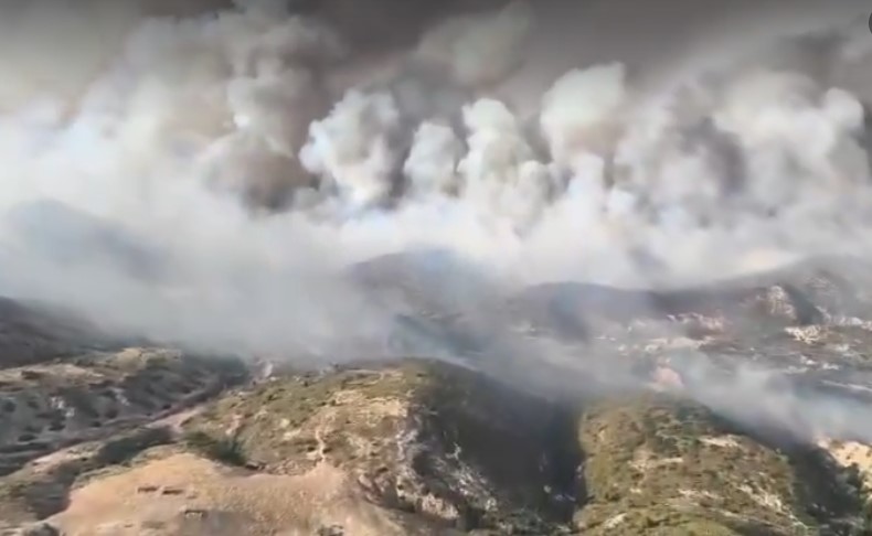 وزارة الدفاع: جيش الطيران يُسيطر على حريق قمة جبل الشحمة بزغوان