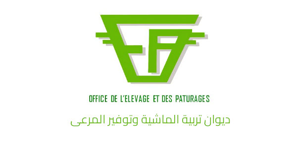 ديوان تربية الماشية وتوفير المرعى يدعو إلى اتخاذ إجراءات وقائية لحماية المجترات من الإجهاد الحراري