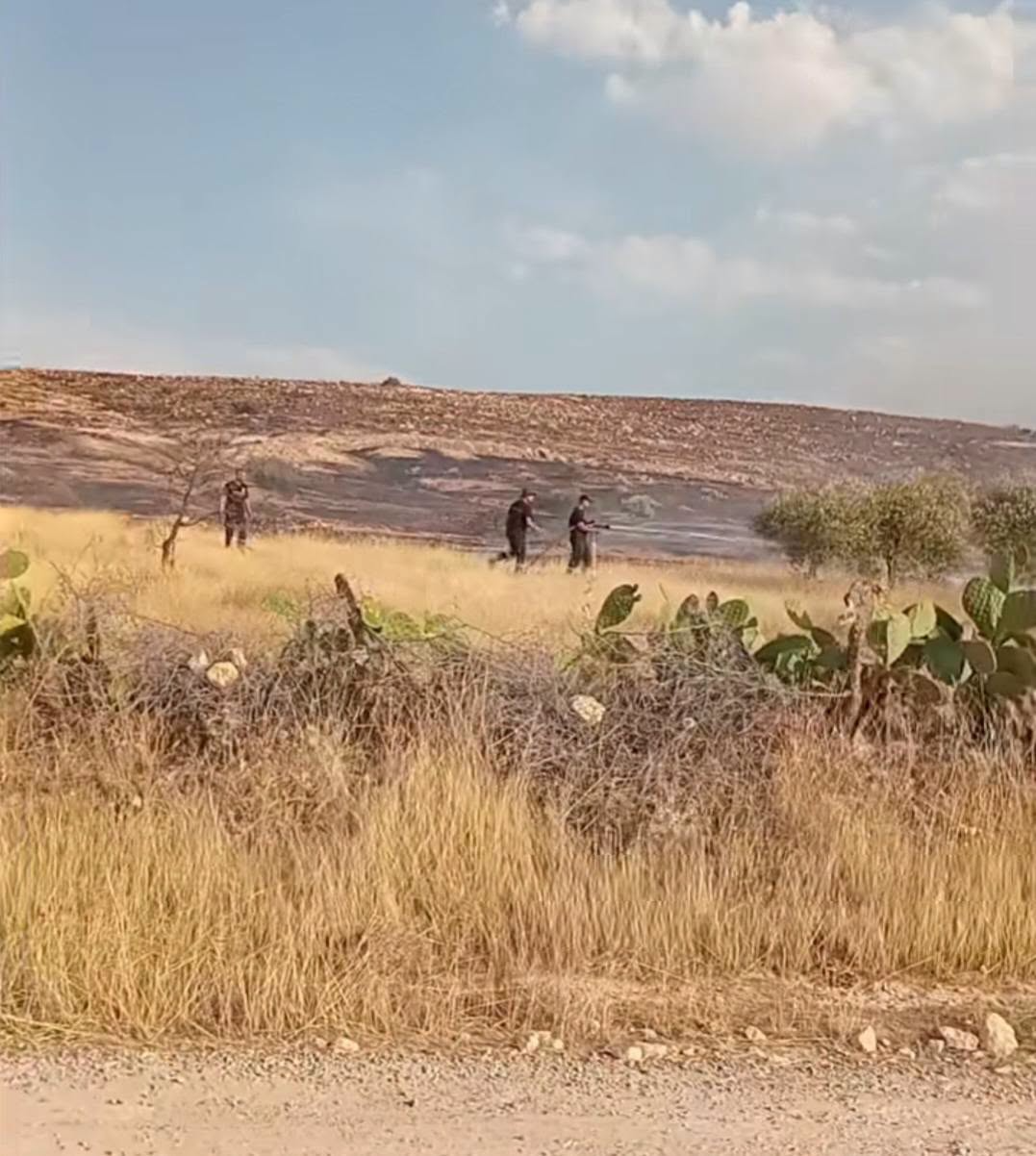 قلعة سنان: السيطرة  على الحريق  الذي نشب  أمس  جبل  الربيبة  وأتي على 800 هكتار  من المراعي و أشجار الزيتون 