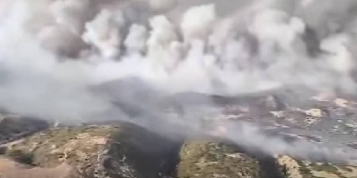 Zaghouan : l'incendie du Djebel Chahma maîtrisé après plus de 40 heures de lutte