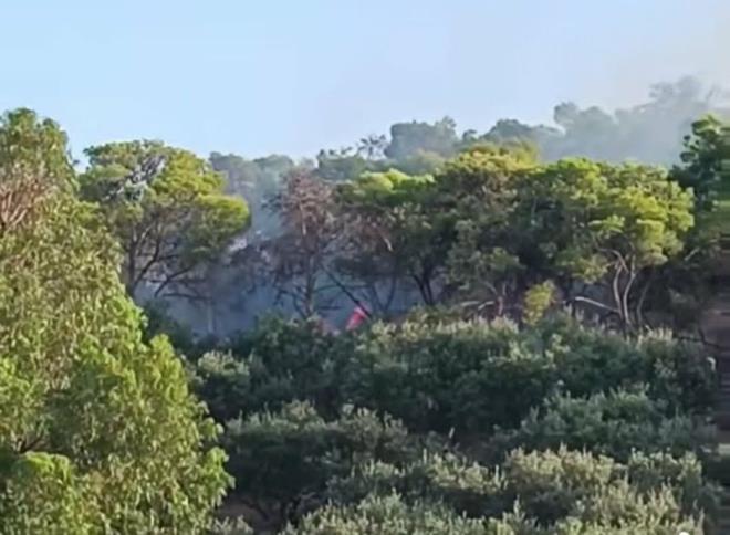 أريانة: السيطرة على حريق بجبل الشرف بجعفر