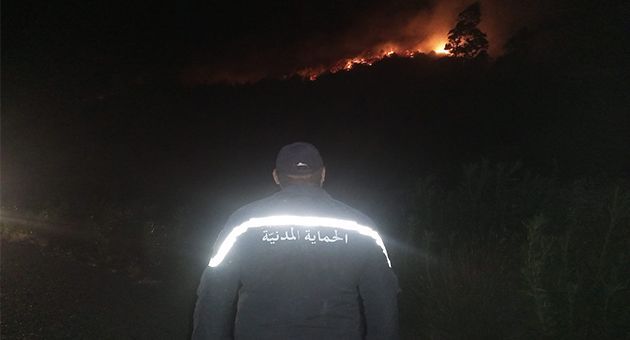 أريانة: السيطرة على حريق بجبل الشرف بجعفر