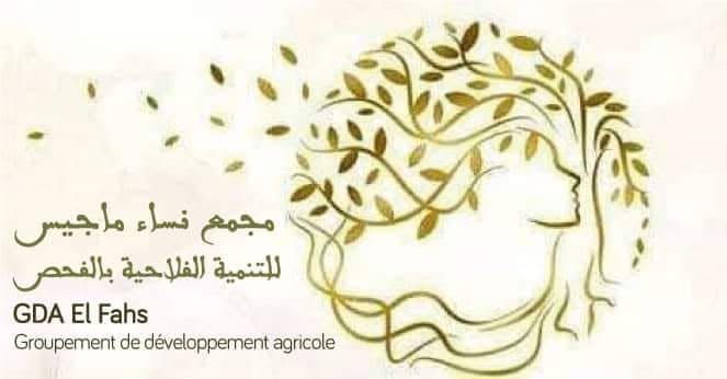 اختيار المجمع النسائي "ماجيس" بالفحص كمجمع نموذجي لتنفيذ مشروع فاطيمة لدعم الابتكار الزراعي.